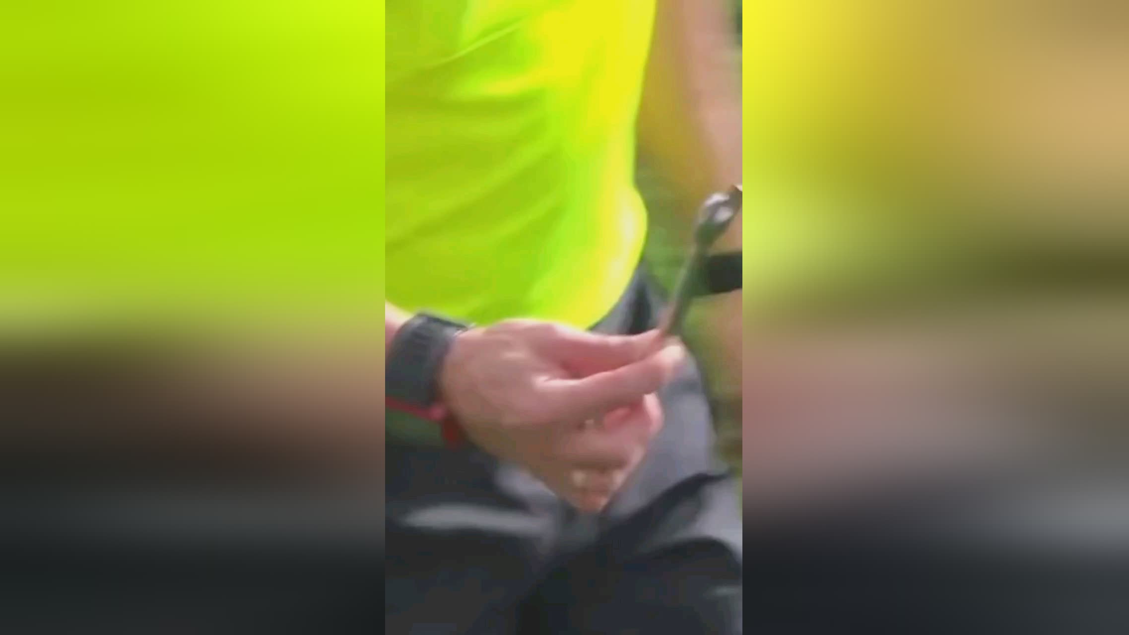 力也对中